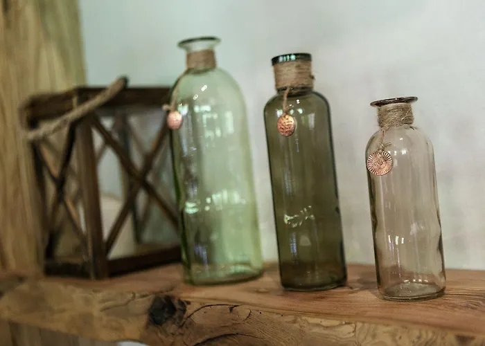 Vieux Bisse Dağ evi La Tzoumaz