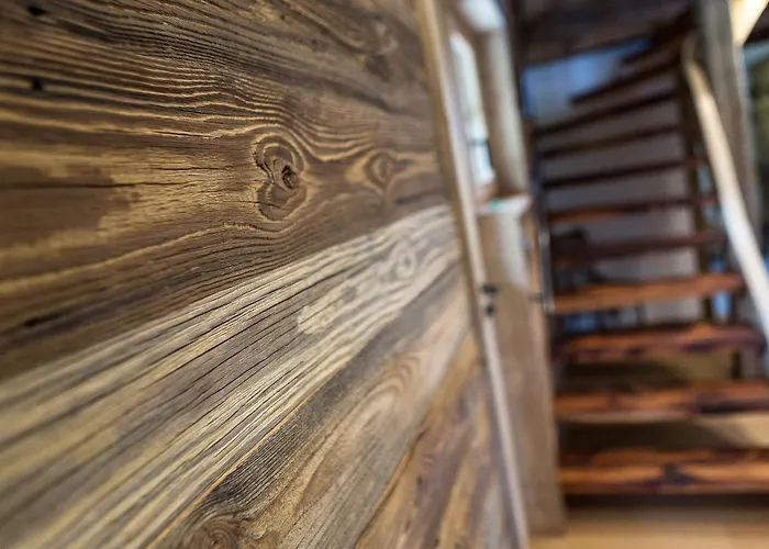 Vieux Bisse La Tzoumaz